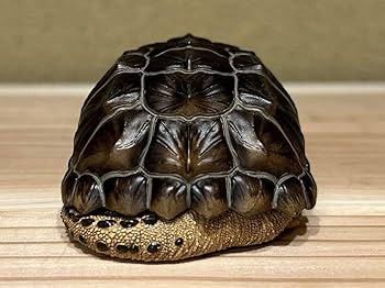 Amazon.co.jp: 巨頭 ワニガメ（ノーマル） フィギュア 爬虫類